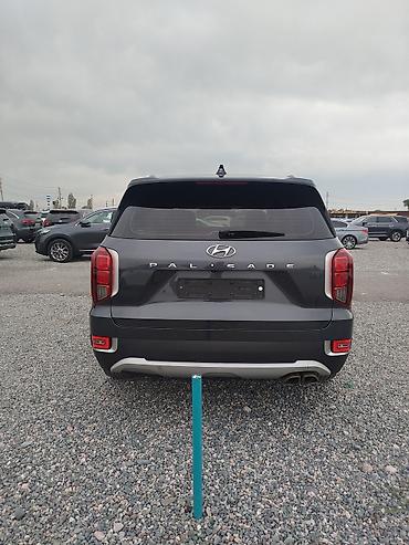 жак бу: Hyundai Palisade: 2021 г., 2.2 л, Автомат, Дизель, Жол тандабас — 2
