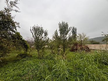 çuxuryurd ev satılır: 16 sot, Tikinti, Mülkiyyətçi, Kupça (Çıxarış) — 6