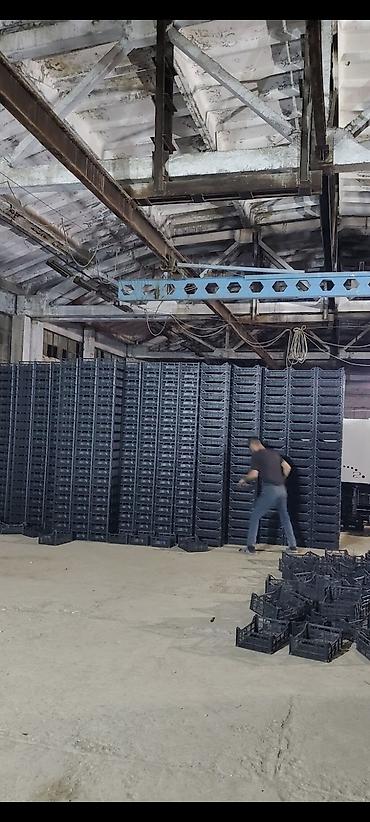 Konteynerlər: Plastik yeşiklər – topdan Məhsulun təsviri: - Material: yüksək — 14