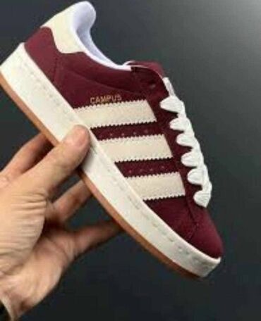 obuca aki novi sad: Adidas Campus patike bordo

Novo
Brojevi 36 do 40

fb Moja Kupovina 1