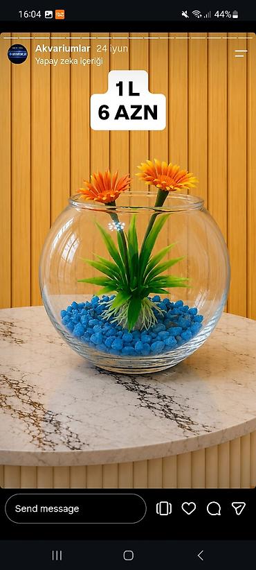 akvarium balıqlar: Yumru akvarium, Boş, 1 l — 1