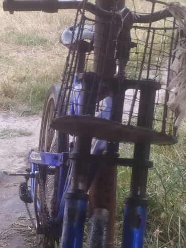 Smart saatlar: Yeni, Smart saat, Amazfit, Sim kart, rəng - Ağ — 15