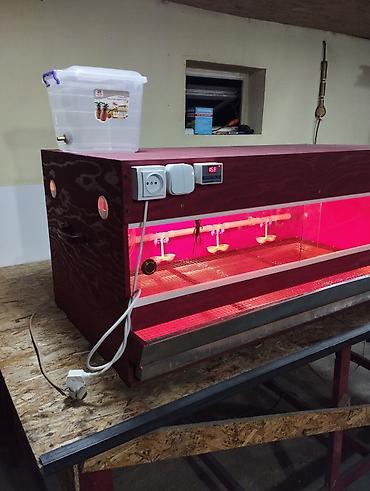 Товары и оборудование для с/х животных: Брудер!!!делаю на заказ брудера для цыплят. полный комплект сделан из — 10