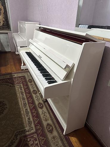 İdman və hobbi: Piano, Belarus, Akustik, Yeni, Pulsuz çatdırılma — 2