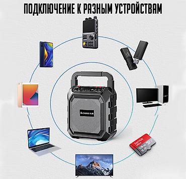 hoco eq34 plus: Портативная колонка караоке система с двумя микрофонами Chigo M63 — 7