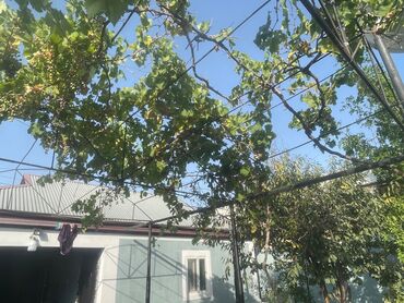 Həyət evləri və villaların satışı: 4 otaqlı, 120 kv. m, Yeni təmirli — 23