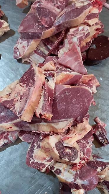 курбан кара: Халал мясо “Мурок” (Бишкек) - Говядина/телятина: конина? На фото — 2