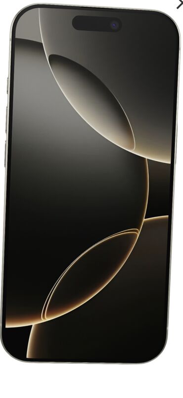 Apple iPhone: IPhone 16 Pro, 256 ГБ, Natural Titanium, Кабель, 94 %
