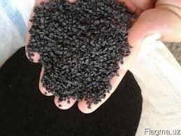 Овощи: Продаю семена лука лук луки манас высшего качество урук пияз пьяз — 2