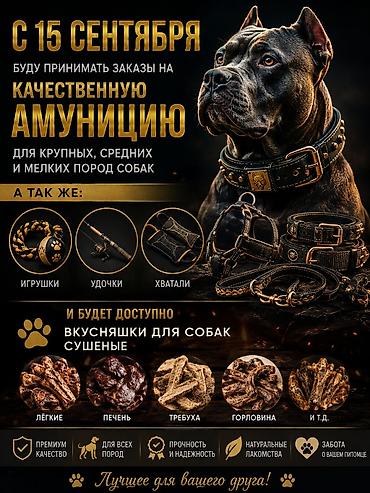 хомяк каракол: Так же будет Доставка. До Бишкека — 1