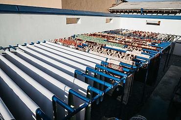 Стирка ковров: Стирка ковров, | Палас, Ала-кийиз, Шырдак, Бесплатная доставка — 11