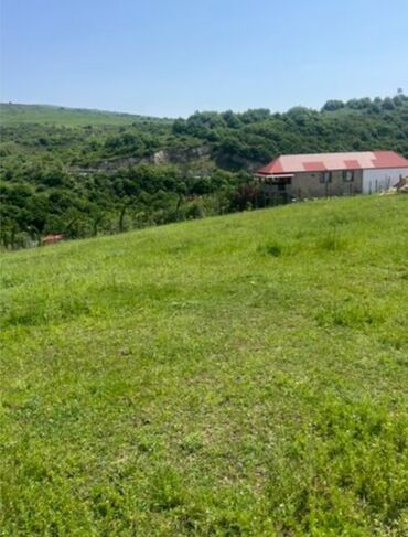 Torpaq sahələrinin satışı: 70 sot, Kənd təsərrüfatı, Mülkiyyətçi, Kupça (Çıxarış)