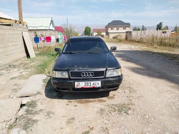 куатро ауди: Audi 80: 1992 г., 2 л, Механика, Бензин, Седан