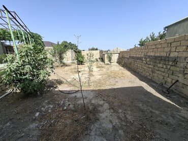 şüşə banka qəbulu: Heyet evidir.2 sota yaxindir.endirim olacag.serencam var quoça yoxdur