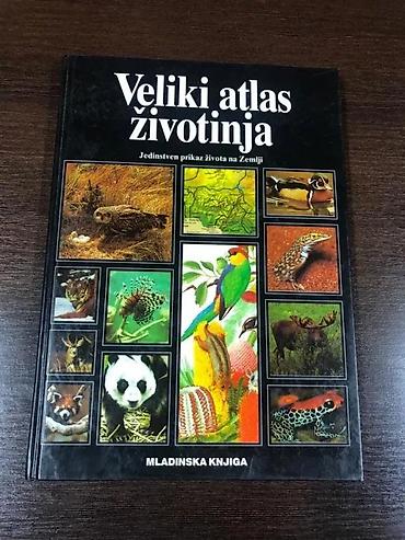 Dečije knjige: Veliki atlas životinja – Mladinska knjiga Ilustrovani enciklopedijski — 1