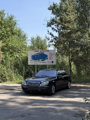 c 220: Mercedes-Benz 220: 2003 г., 3.2 л, Автомат, Бензин, Седан — 1