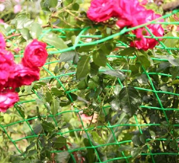 Другие товары для дома и сада: Сетка пластиковая для плетистых роз и винограда. Садовые решетки — 2