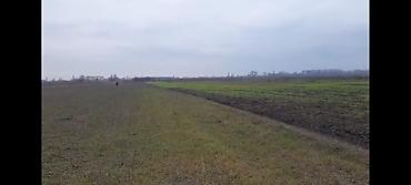 Torpaq sahələrinin satışı: Kənd təsərrüfatı — 9