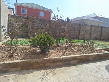 Yeni tikili: 6 otaqlı, Yeni tikili, 250 kv. m — 23