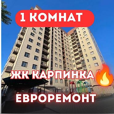 act: 1 комната, 38 м², Карпинка Элитка, 11 этаж, Евроремонт — 1