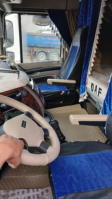 Тягачи: Тягач, DAF, 2012 г., Холодильник, рефрижератор — 11