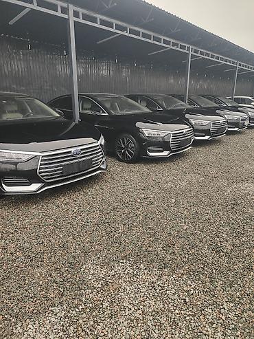 BYD: BYD E9: 2021 г., Автомат, Электромобиль, Седан — 3