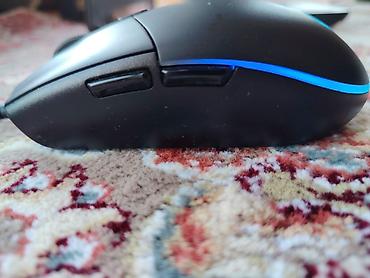 ASUS: ASUS TUF Gaming, 15.6 ", Intel Core i5, 512 GB — 11