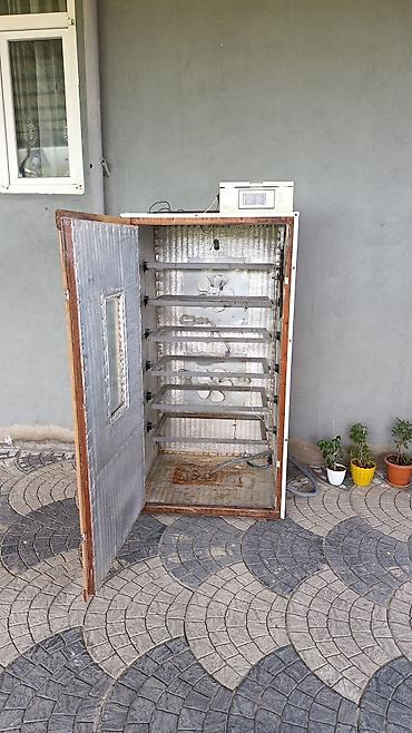 Инкубаторы: Sənaye tipli inkubator1000 cücə yumurta tutumu.Ördək qaz hinduşka — 1