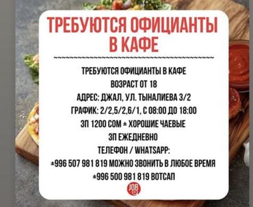 я ищу работу в бишкек: Вакансия: официанты в кафе - Требуются официанты, возраст от 18 лет -