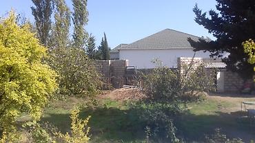 goradil torpaq satisi: 9 sot, Tikinti, Mülkiyyətçi, Kupça (Çıxarış) — 3