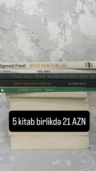 2 ci sinif rus dili kitabi pdf: Müxtəlif janrlarda kitablar. Hər biri maraqlı mövzuları əhatə edir