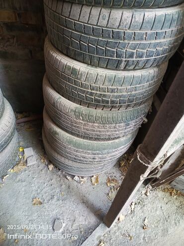 Шины 215 / 55 / R 17, Всесезонная, Комплект, Легковые, Dunlop