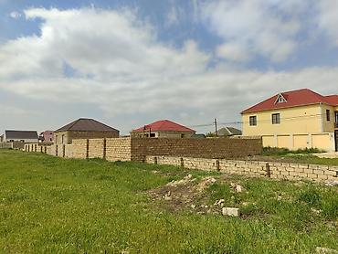 binədə: Kənd təsərrüfatı, Kupça (Çıxarış) — 7