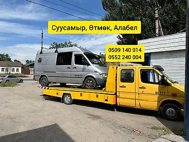 247: С лебедкой, С частичной погрузкой, С прямой платформой — 1