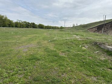 Продажа участков: 25 соток, Для бизнеса, Договор купли-продажи, Красная книга — 3