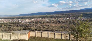 Torpaq sahələrinin satışı: Tikinti — 29