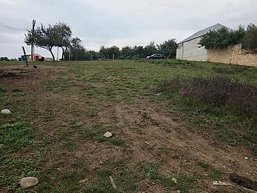 müşfiqabad ev satışı: 10 sot, Tikinti — 2