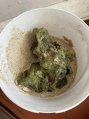 akvarium daslari: Okean qruntu ve dashi dash balaca deyil qiymet her ikisine aiddir — 1