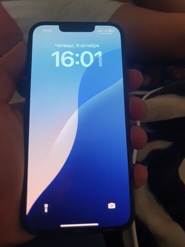 машина лексия: IPhone 13, Колдонулган, 128 ГБ, Alpine Green, Кулакчындар, Коргоочу айнек, Каптама, 89 %
