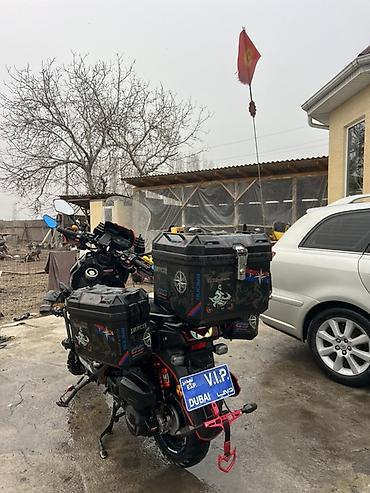 Скутеры: Скутер/туринг-проект с расширенным тюнингом и экспедиционным обвесом — 5