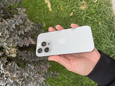apple 17 pro: IPhone 15 Pro, Б/у, 128 ГБ, Серебристый, 100 % — 3