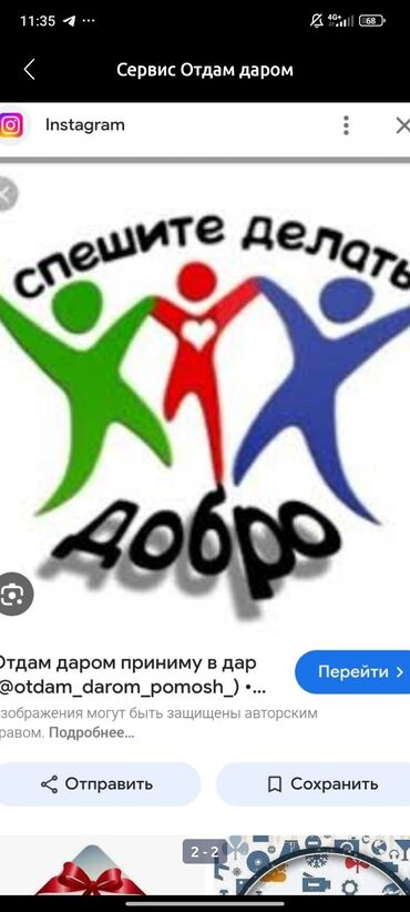 отдам даром животных бишкек: Фонд «Отдар даром кийилбей турган кийимдерди алып келип берсениз болот