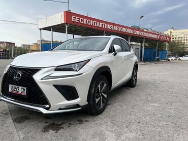 срочно в связи с переездом: Lexus NX: 2018 г., 2 л, Автомат, Бензин, Кроссовер