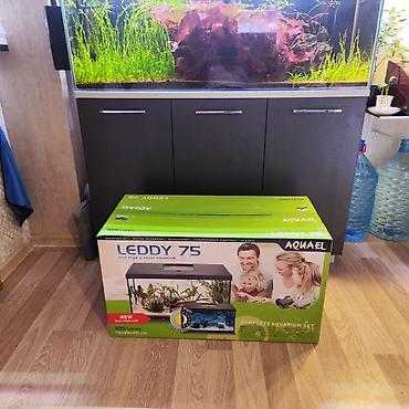 akvariyum: Polşa istehsalı olan, keyfiyyətli və zavod istehsalı akvarium satılır — 1
