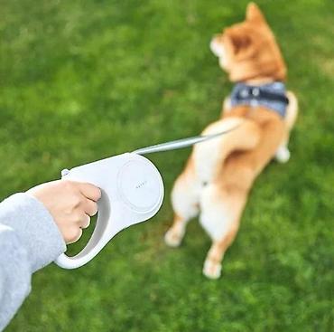 Heyvanlar üçün mallar: Petkit Go free Max Dog Retractable leash 4.5 m (P2105)Texniki — 1
