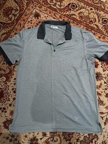 kişi geyimi: Polo köynək, Brioni, L (EU 40), rəng - Boz