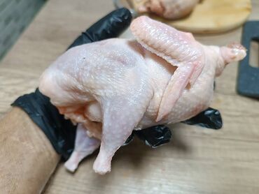 мясо конина цена бишкек: Перепелиные тушки вес 300 грамм и выше. Мы в центре города. Качество