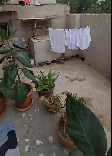 Həyət evləri və villaların satışı: 3 otaqlı, 90 kv. m, Orta təmir -da lalafo.az — 27 Həyət evləri və villaların satışı: 3 otaqlı, 90 kv. m, Orta təmir — 27