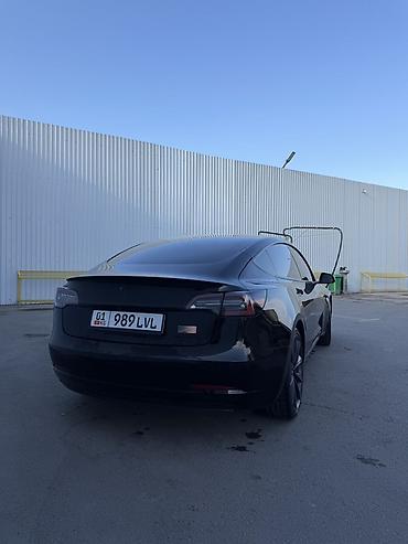 tesla p40: Tesla Model 3: 2020 г., Автомат, Электромобиль, Седан — 4