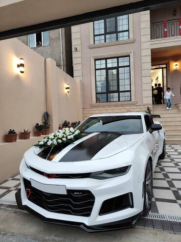 Nəqliyyat vasitəsinin icarəsi: Camaro masini toy nişan və digər tədbirlər üçün sifariş edə bilərsiz -da lalafo.az — 10 Nəqliyyat vasitəsinin icarəsi: Camaro masini toy nişan və digər tədbirlər üçün sifariş edə bilərsiz — 10